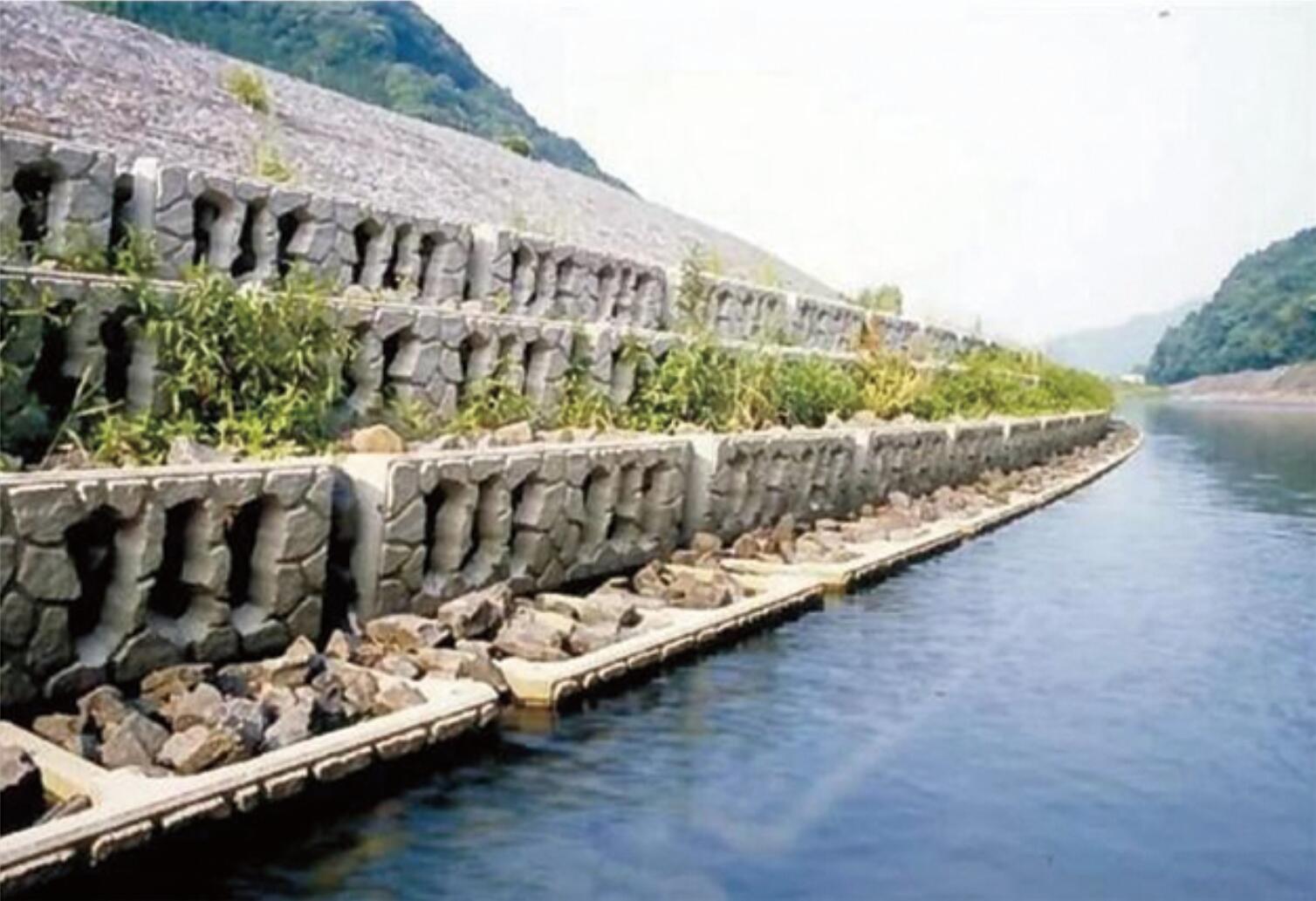 阶梯式护岸结构2