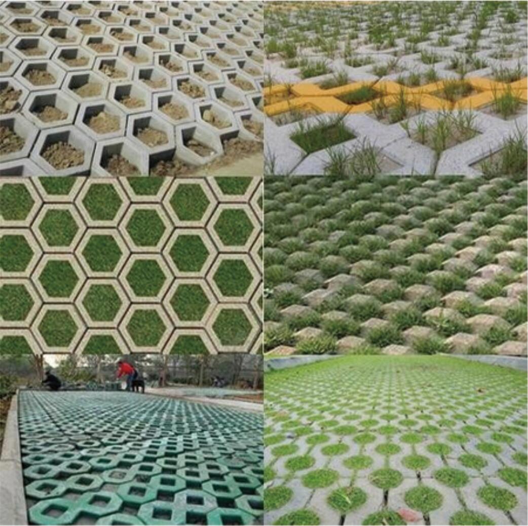 植草砖2